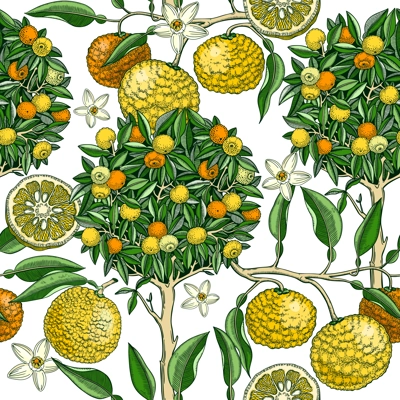 Hand-drawn yuzu tree background design in color. Vintage citrus branches, flowers, leaves whole fruit, cut half-piece sketches. Seamless healthy food pattern. Exotic plant illustration for print